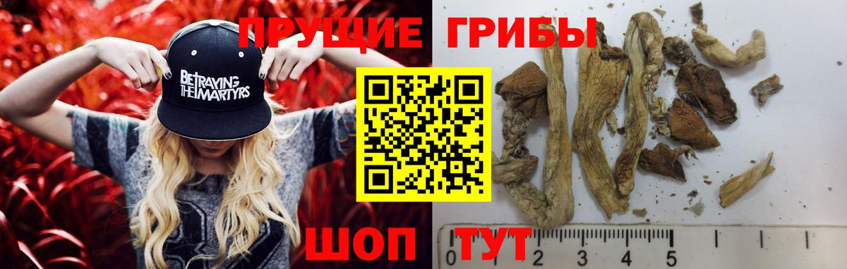 Псилоцибиновые грибы прущие грибы  Псилоцибиновые грибы прущие грибы  Котовск  Вход с VPN 