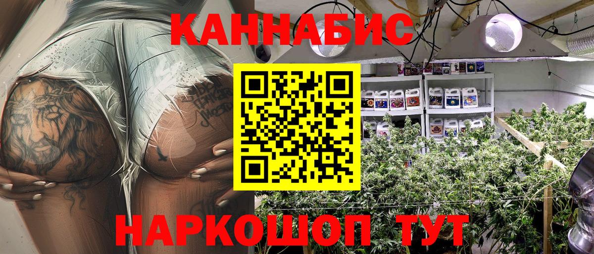 Бошки Шишки Amnesia Котовск
